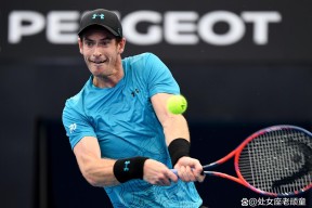 关于穆雷新星精彩发挥表现惊艳，篮网未来可期！的信息